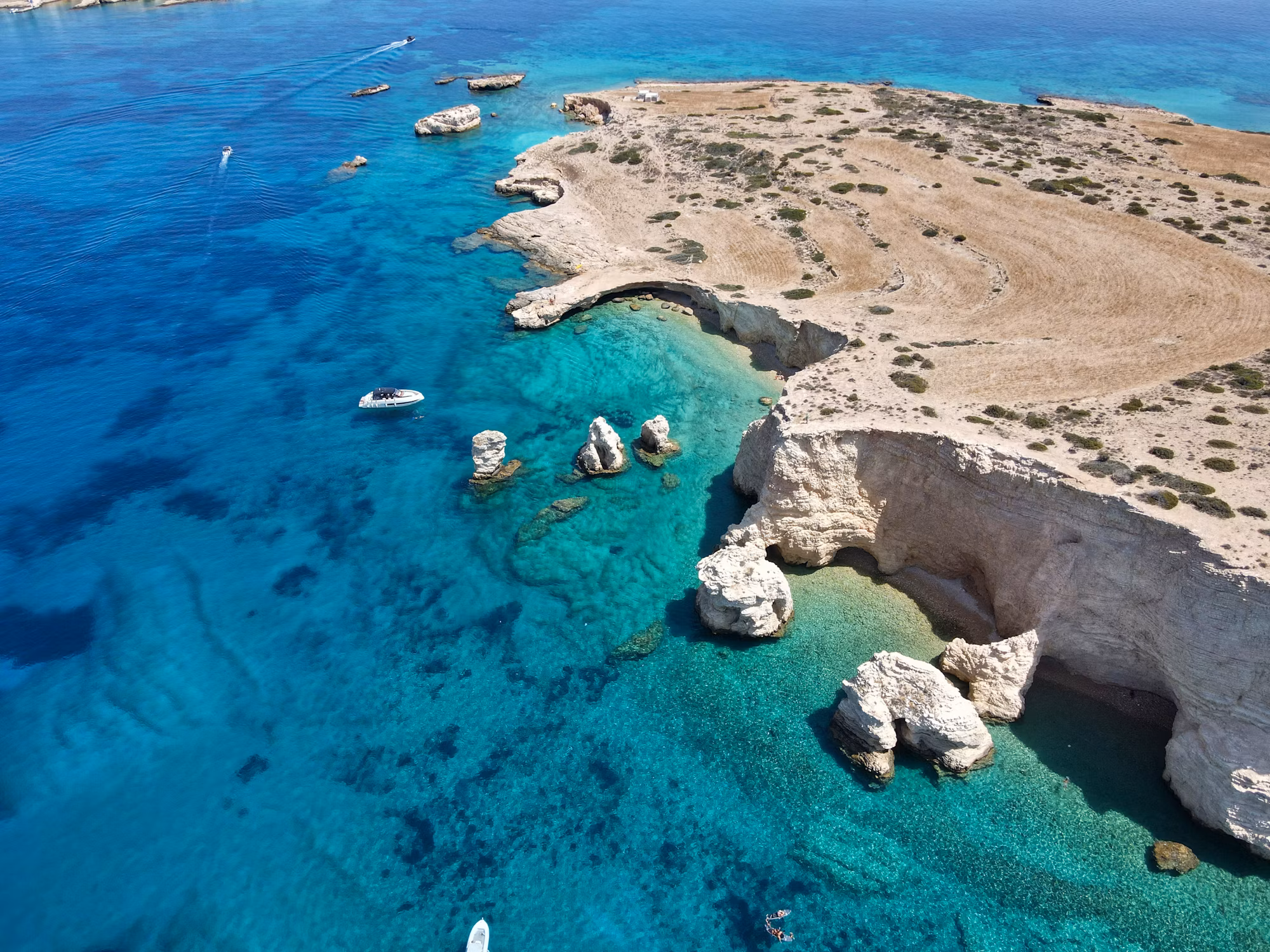 Culinary Journeys: Exploring Global Flavors and Food Traditions