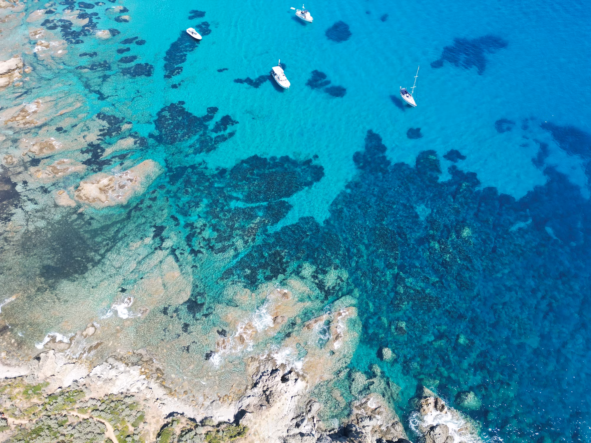 Culinary Journeys: Exploring Global Cuisine